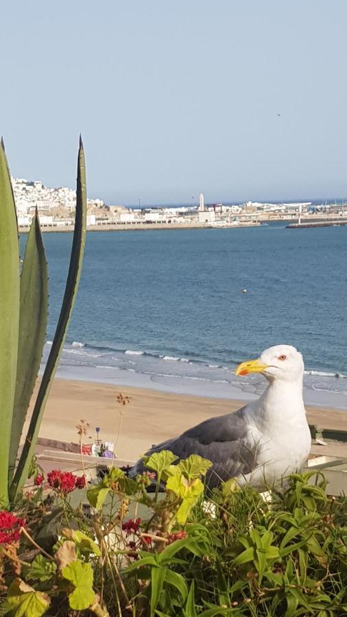 Appartement 2 Chbres Bord De Mer Avec Option Piscine Ete Avec Wifi Sur Corniche De Tanger Exterior foto